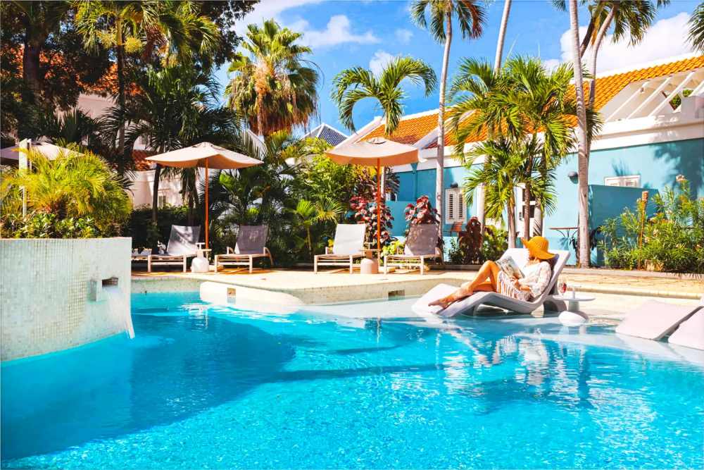 Vandaag Inside en De Oranjezomer