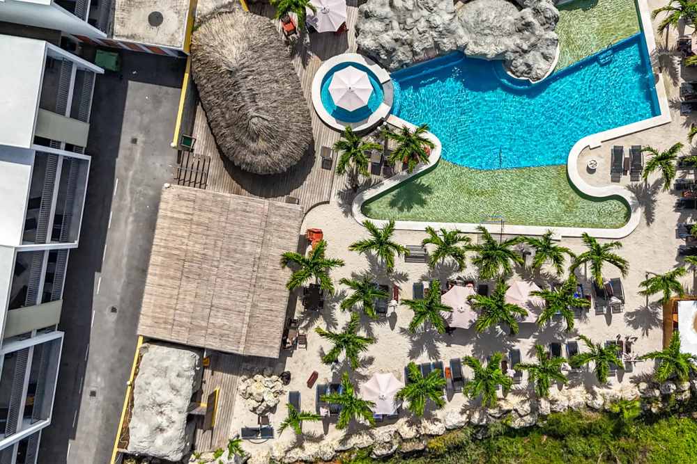 Vandaag Inside en De Oranjezomer