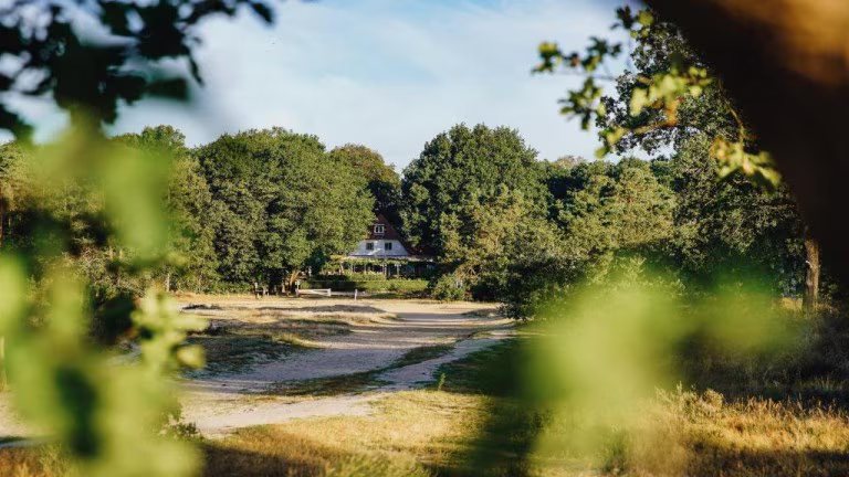 De Wever Lodge Veluwe