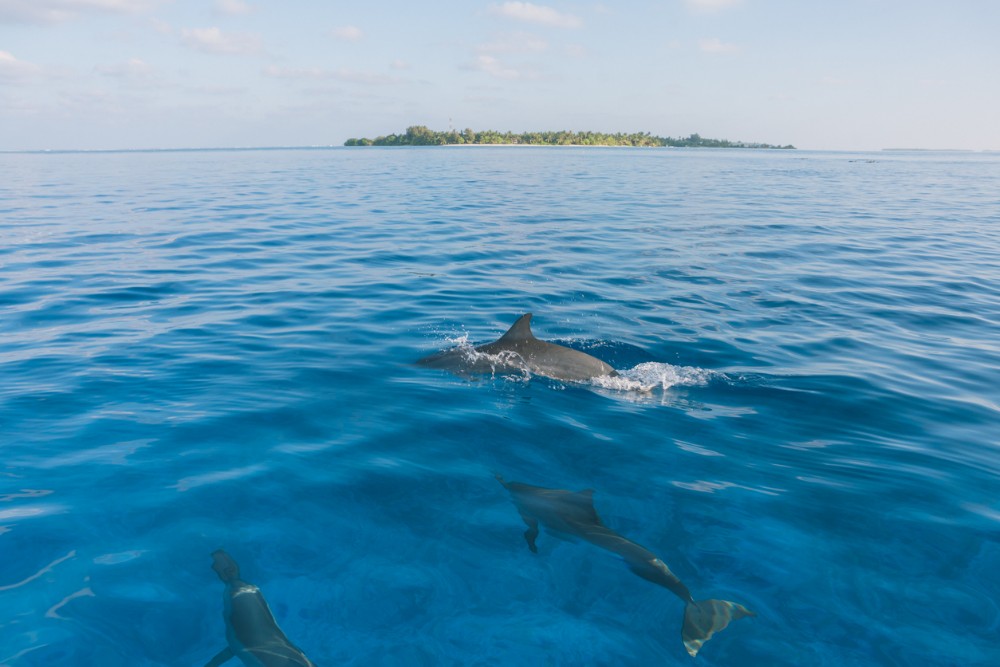 Activiteiten Malediven kinderen