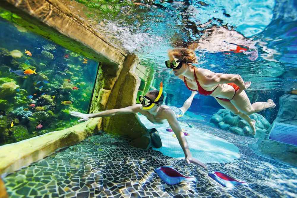 last minute vakantiepark met subtropisch zwembad