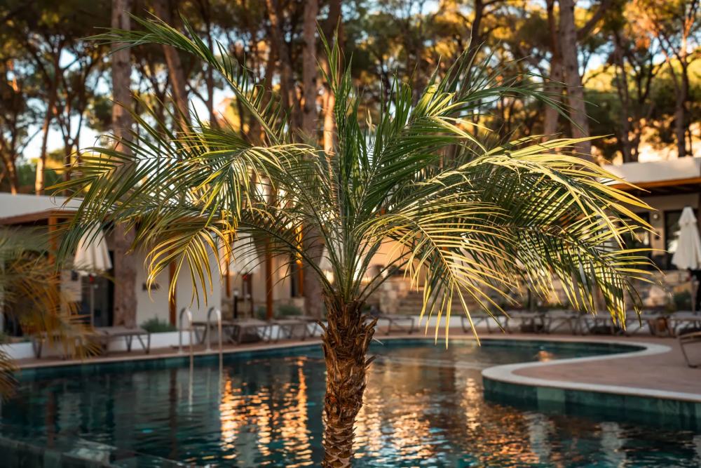 kusadasi all inclusive resorts 