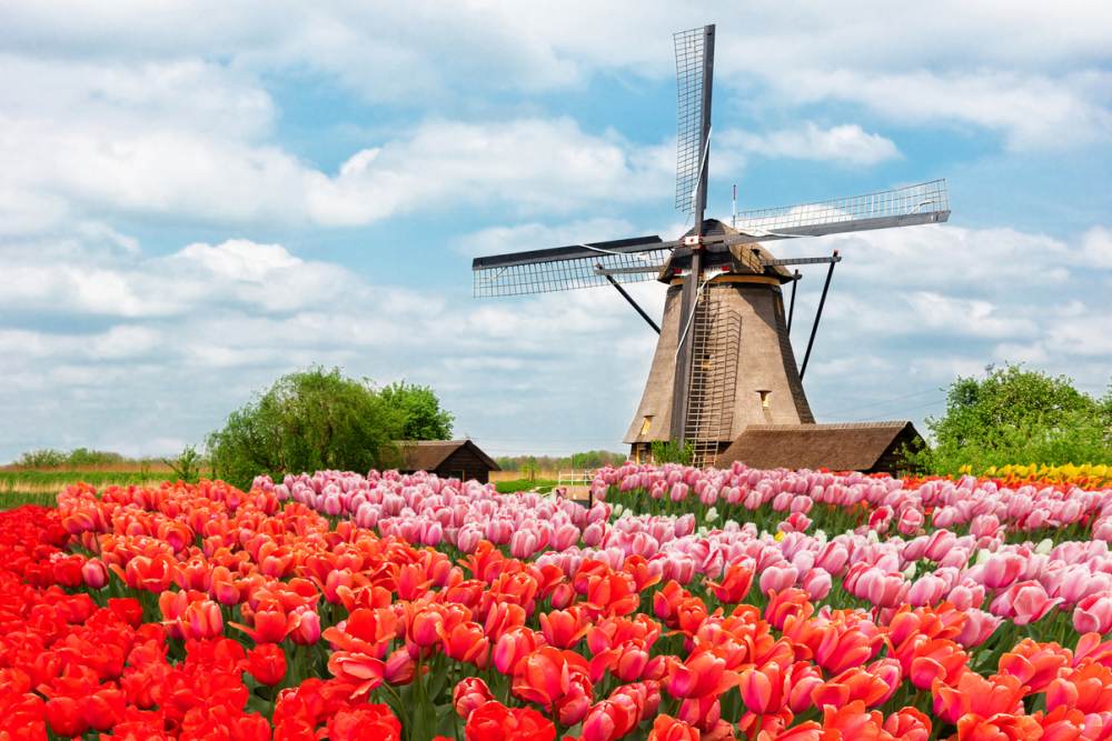 Super last minute Nederland vakantie