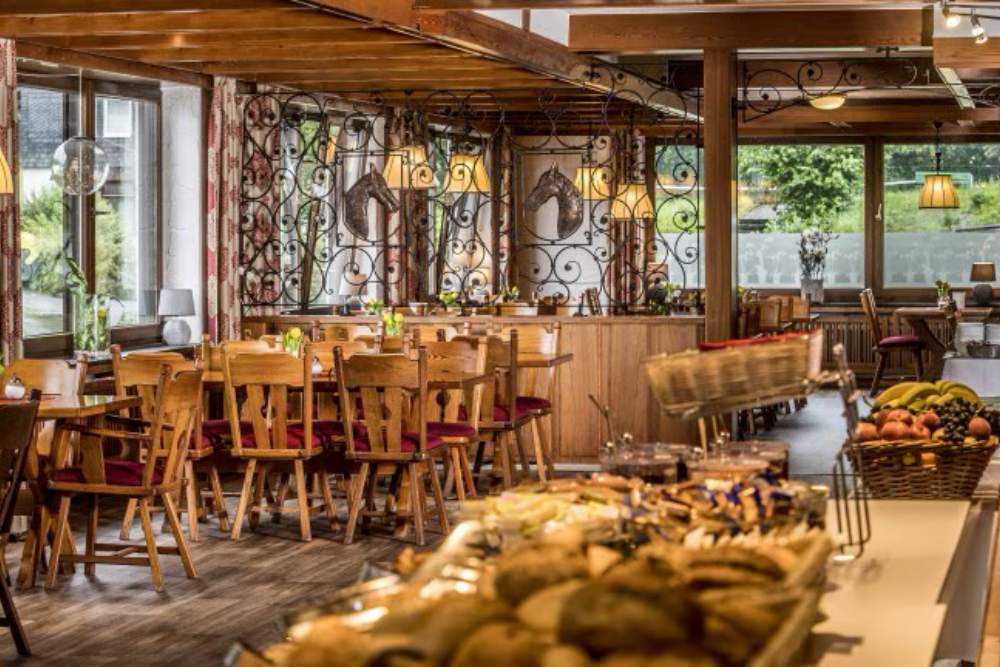 Sauerland Alpin Hotel aanbieding