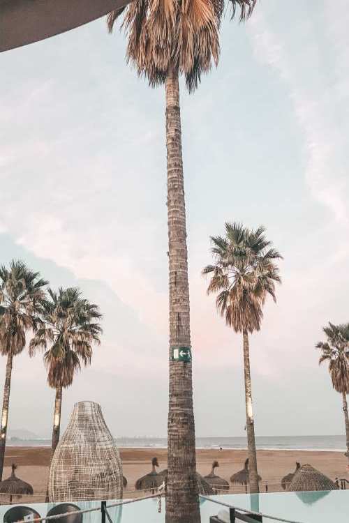 Beach-Club-Valencia-Marina