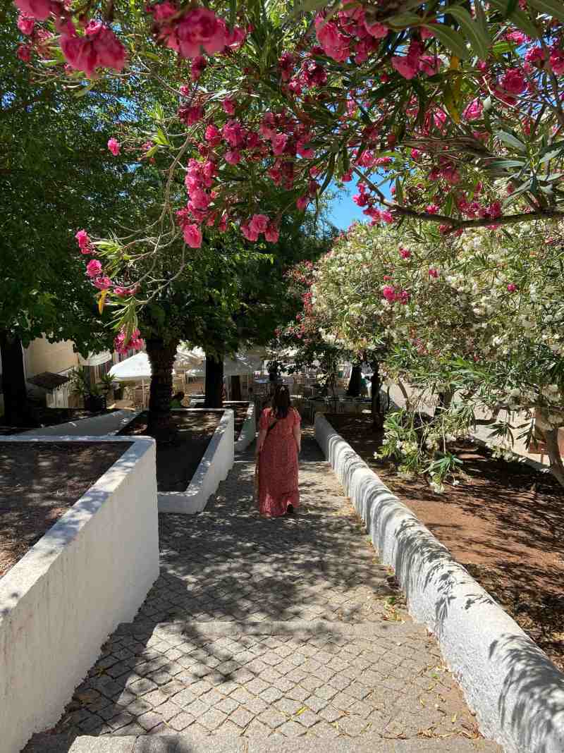 Silves-algarve-Portugal