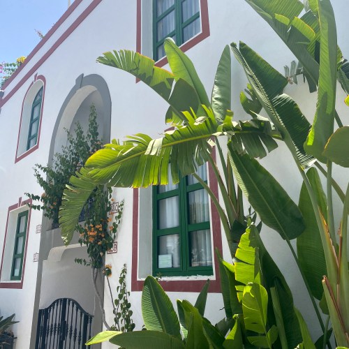 Puerto-de-mogan-planten