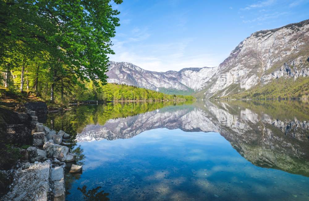 Meer-Bohinj-Slovenie-Uitzicht