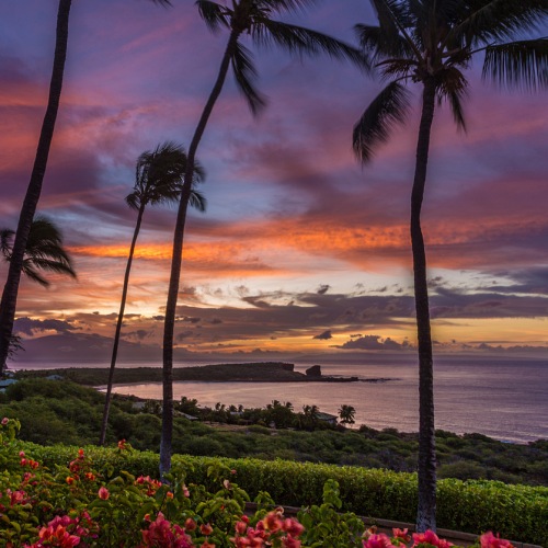 Lanai Hawaii reisblog