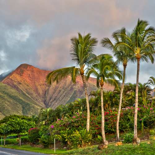 Maui-Hawaii-eilanden Maui Hawaii