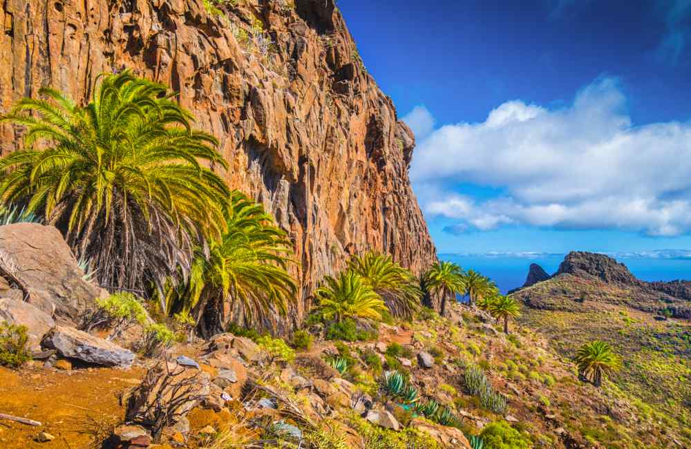 Spanje-Canarische-Eilanden-Fuerteventura-Kliffen Excursie Gran Canaria het ontdekken van landschappen