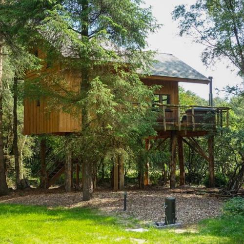 Boomhut-Natuurhuisje-Drenthe-blog slapen in een boomhut