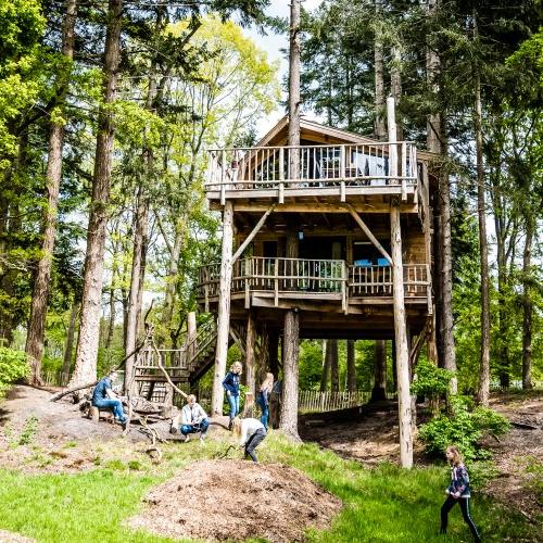 slapen-boomhut-dwingeloo-ardoer slapen in een boomhut