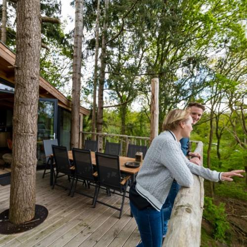 slapen-dwingloo-boomhut-nederland slapen in een boomhut