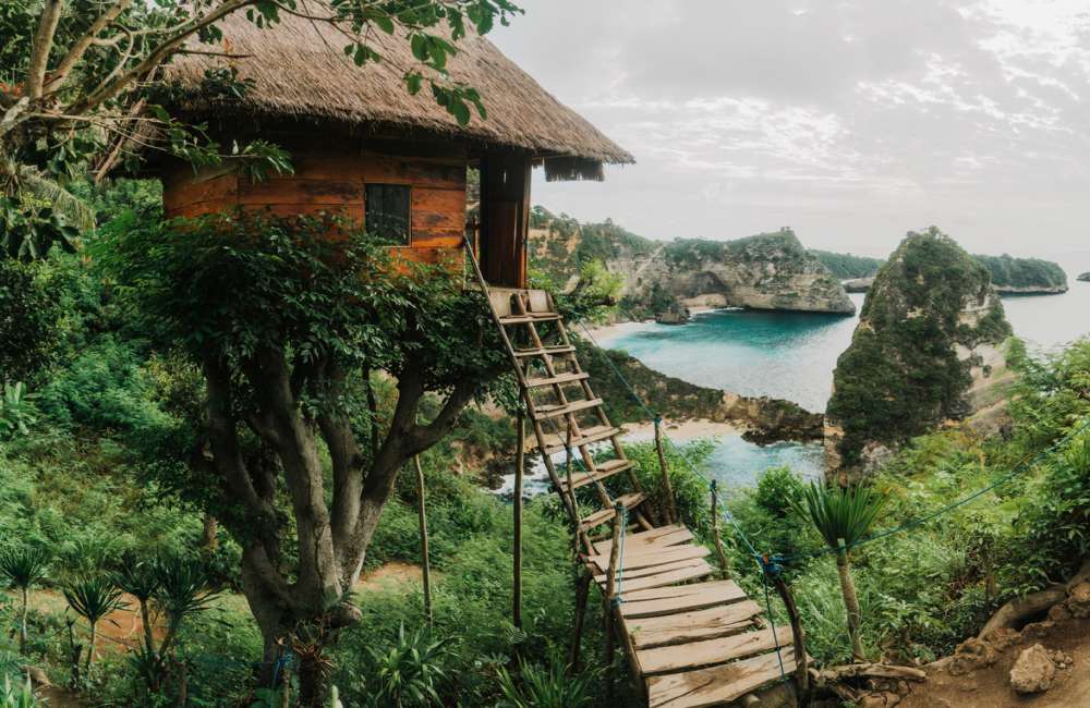 Kelingking-Beach-Nusa-Penida-Treehouse Kelingking beach
