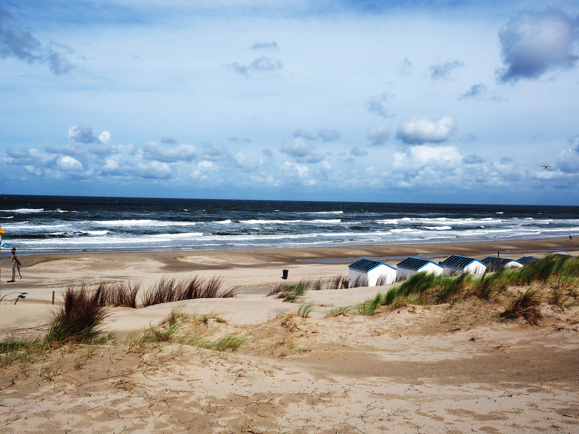 Texel-Activiteiten-Strand-Kust Texel activiteiten