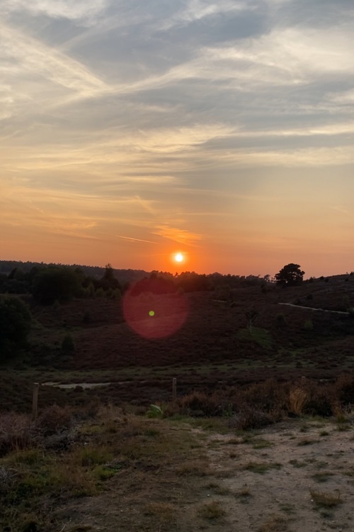 nachtje-veluwe-blog-posbank-zonsondergang